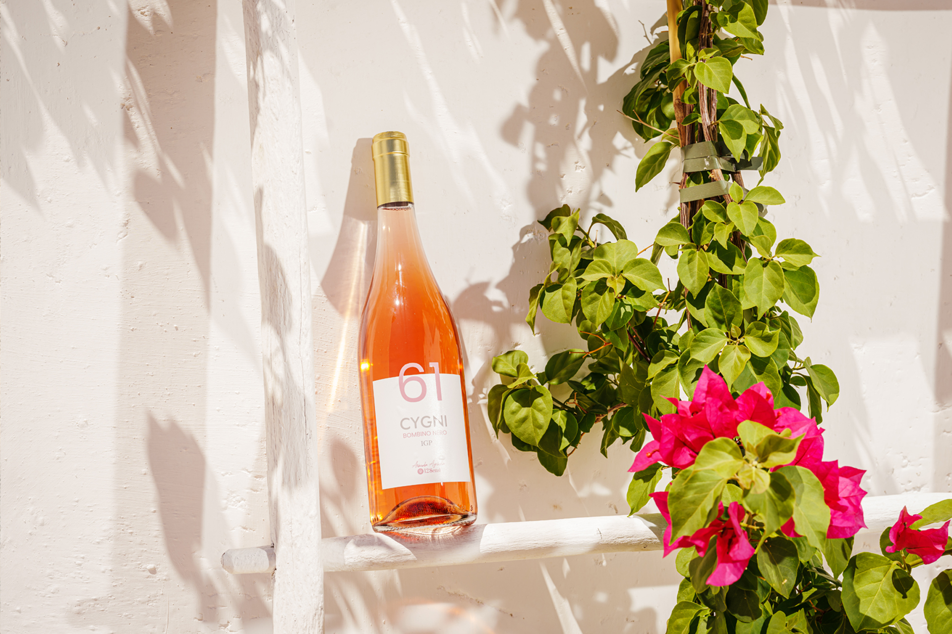 Vini che raccontano il territorio